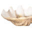 Unreal Cast Clam Shell Bowl-1348115431