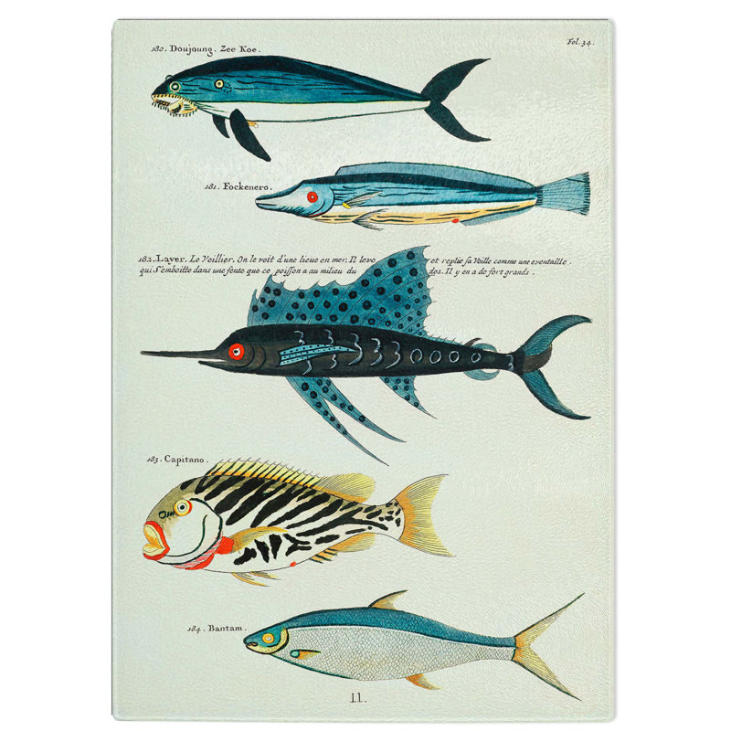 Glass East indies Fish Illustrations Fol. 34 by Louis Renard Chopping Board, 39 cm W x 28.5 cm L