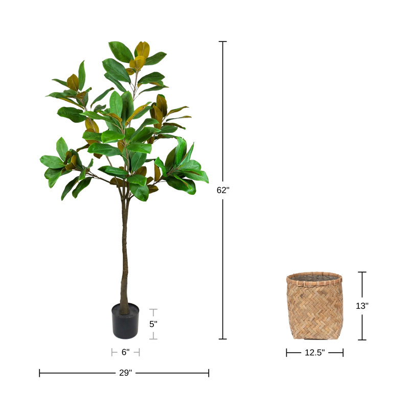 UV Rated 5' Magnolia Tree Drop-In with Bamboo Planter