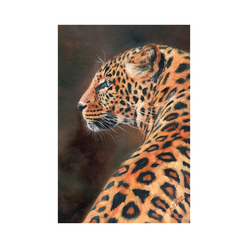 Leopard Profile by David Stribbling - Wrapped Canvas Gallery-Wrapped Canvas Giclée, 101.6cm H x 66.04cm W