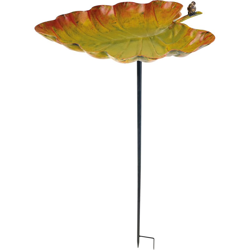 Aviara freestanding Bird  Bath and Feeder