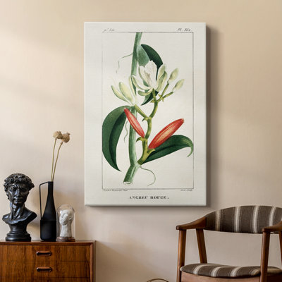 Turpin Tropical Botanicals