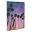 Palm Trees At Sunset - Wrapped Canvas-56667191