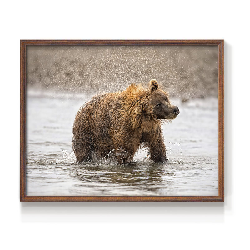Photography Study Shake it Off -Framed Print - Restickable, H 11 po x l 14 po, Noyer