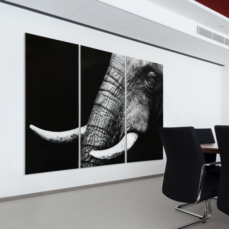 "Elephant ABC", ensemble de panneaux muraux en verre trempé flottant sans cadre
