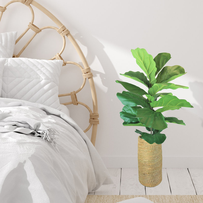 Plante de figuier figuier artificielle dans un panier 52,00 po Lilly White