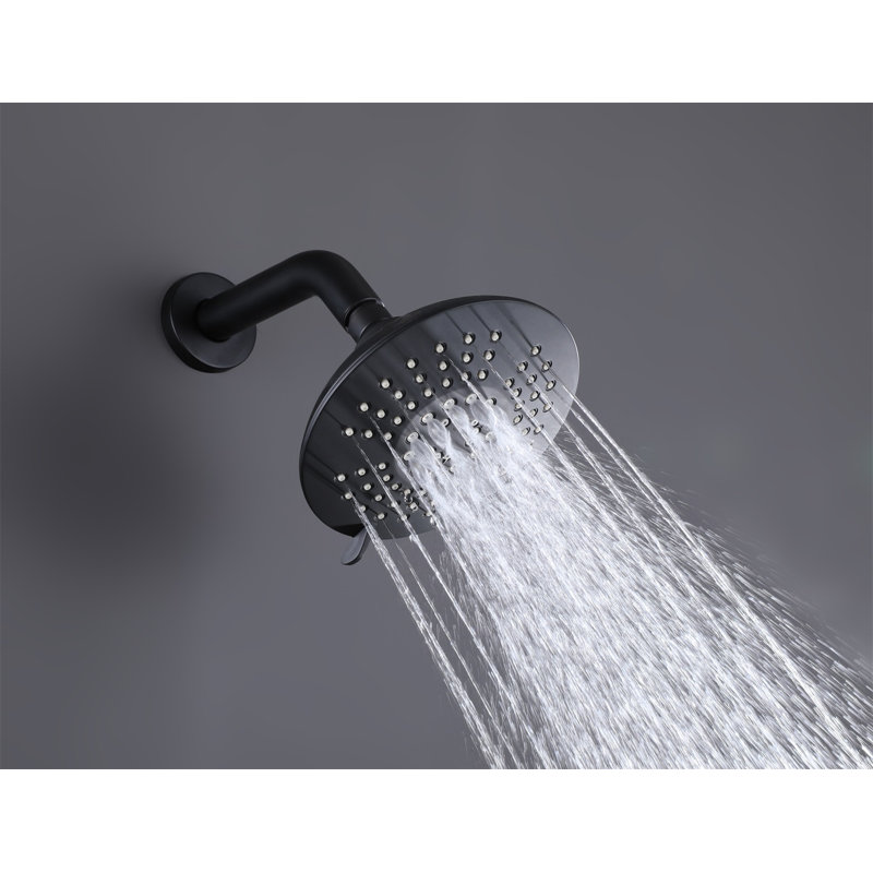 Raindance Full/Standard Adjustable Shower Head, Matte Black