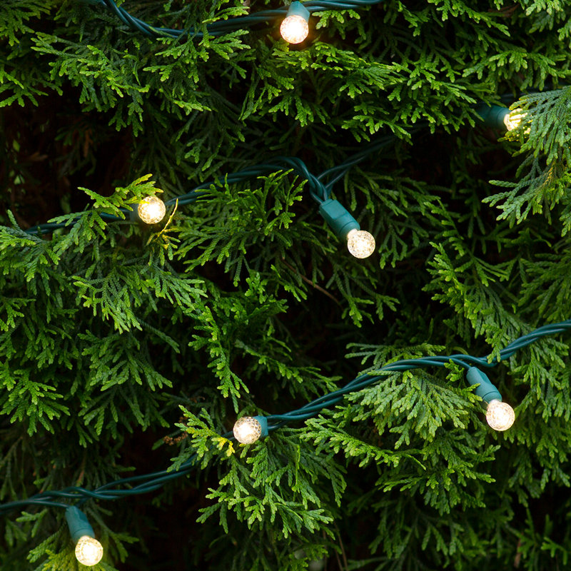 70 Light LED Mini Globe String Lights, Warm White