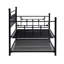 Lit de jour avec couchette en noir - Conception moderne pour une utilisation optimale de l'espace, structure en métal durable, endroit de repos calme et paisible, trousse d'assemblage facile, aucun sommier requis, peut contenir 250/350 lb, construction