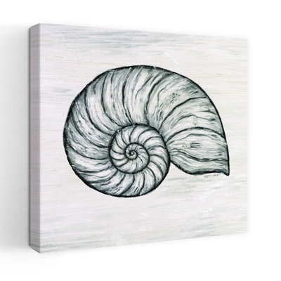 Coastal Nautilus Shell With Nautilus Shell Shell Art