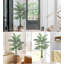 84 plantes