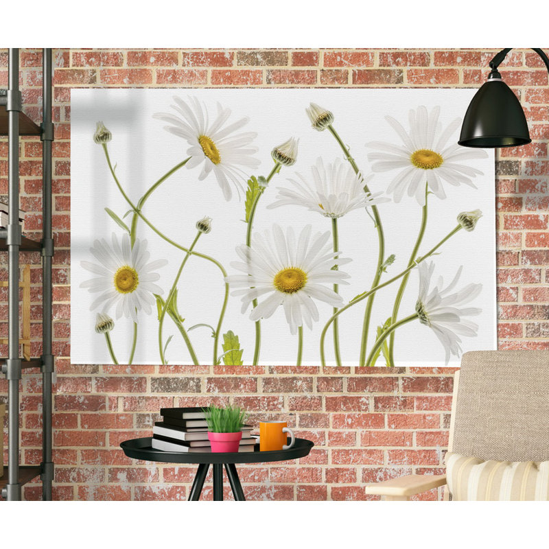 " High Kew Daisies ", 24" H x 36" W x 1.5" D, Wrapped Canvas