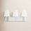3 Light Dimmable Vanity Light