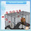 Hamster Cage-96138609