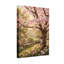 Plantes et fleurs Cherry Blossom-1176496407