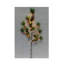 Faux Berry/Pine Branch