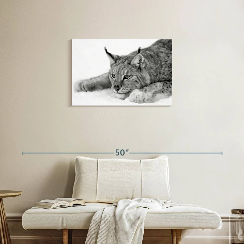 Brampt Lynx BW, 20" H x 30" W