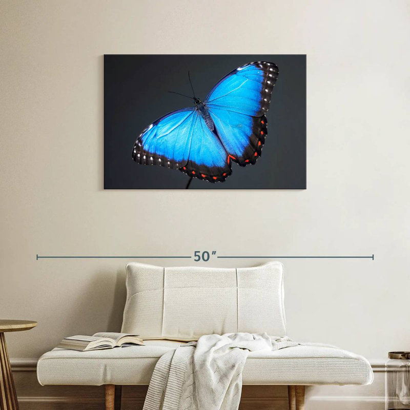 Brampt Blue Morpho Butterfly, 24" H x 36" W