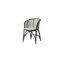 Blend Patio Dining Armchair with Cushion-55841071-56109743