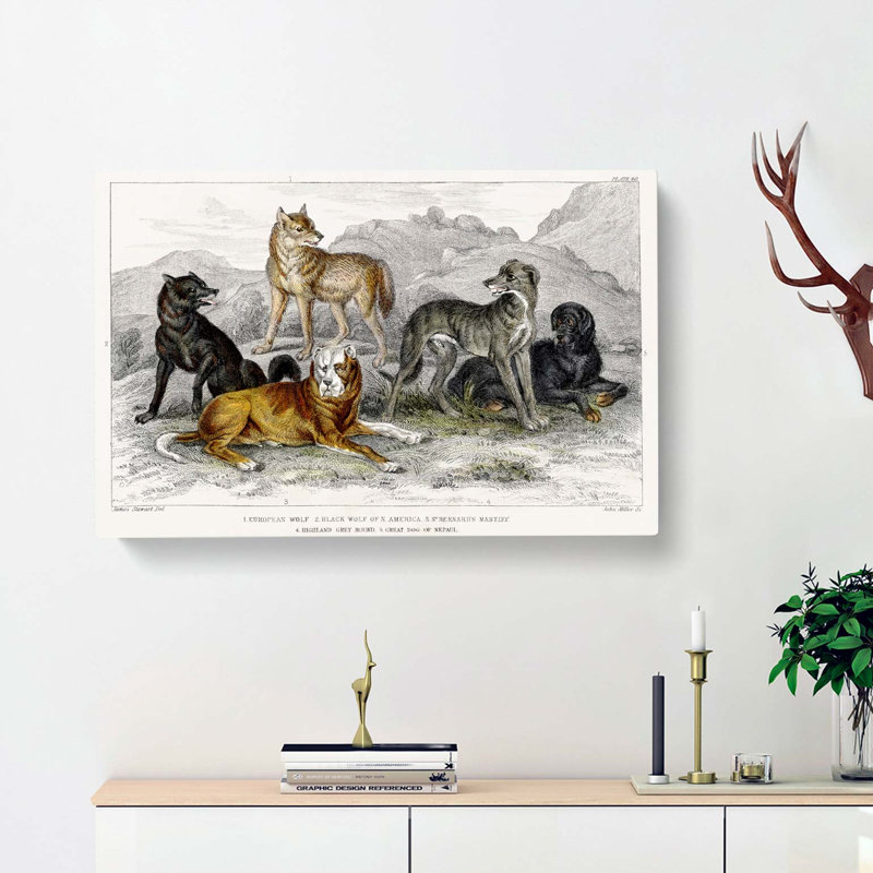 Wolves And Hounds by Oliver Goldsmith - Wrapped Canvas, 50cm H x 76cm W x 3cm D
