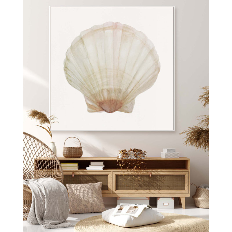 Sea Shell 6 Print, 40" H x 40" W, Wrapped Canvas
