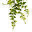 Vigne artificielle 30 po vert