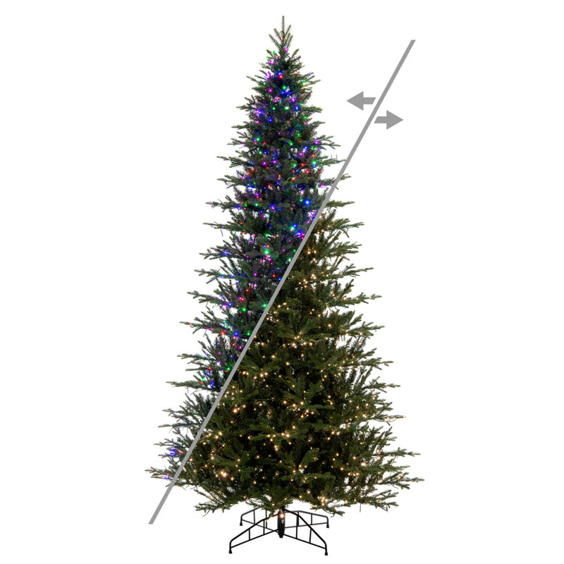 Vickerman Kamas Fraiser Fir Artificial Color Changing Christmas Tree, 9 ft