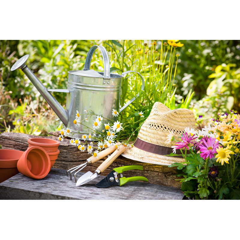 Gardening by AlexRaths - Wrapped Canvas Print, 61cm H x 91cm W