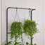 Support à plante avec tablettes suspendues