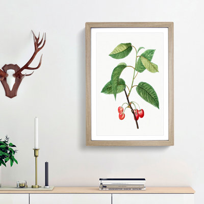 Cherry Tree by Pierre-Joseph Redoute - Picture Frame Painting Print