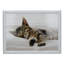 Animals Decorative Tray