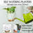 Plant Hangers with Pots and Saucers-2058980082