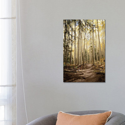 Autumn Light In The Aspen Grove Rustic Decor by Ann Hudec - Wrapped Canvas Print
