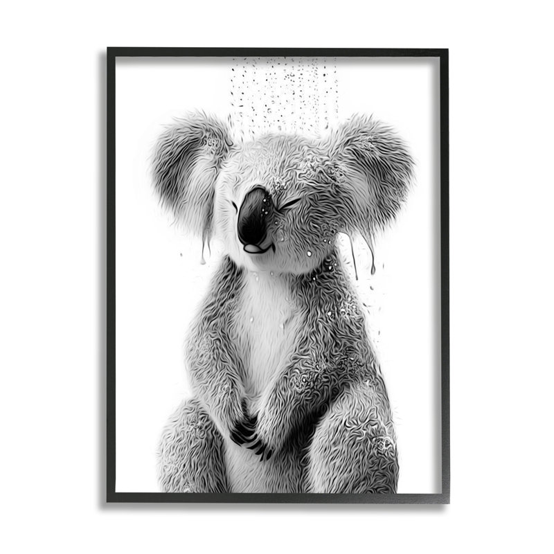 Stupell Industries Koala, Giclée encadrée noir minuit, H 14 po x l 11 po x P 1,5 po