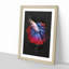 Siamese Fighting Fish - Picture Frame Graphic Art Print-56856769-56856770
