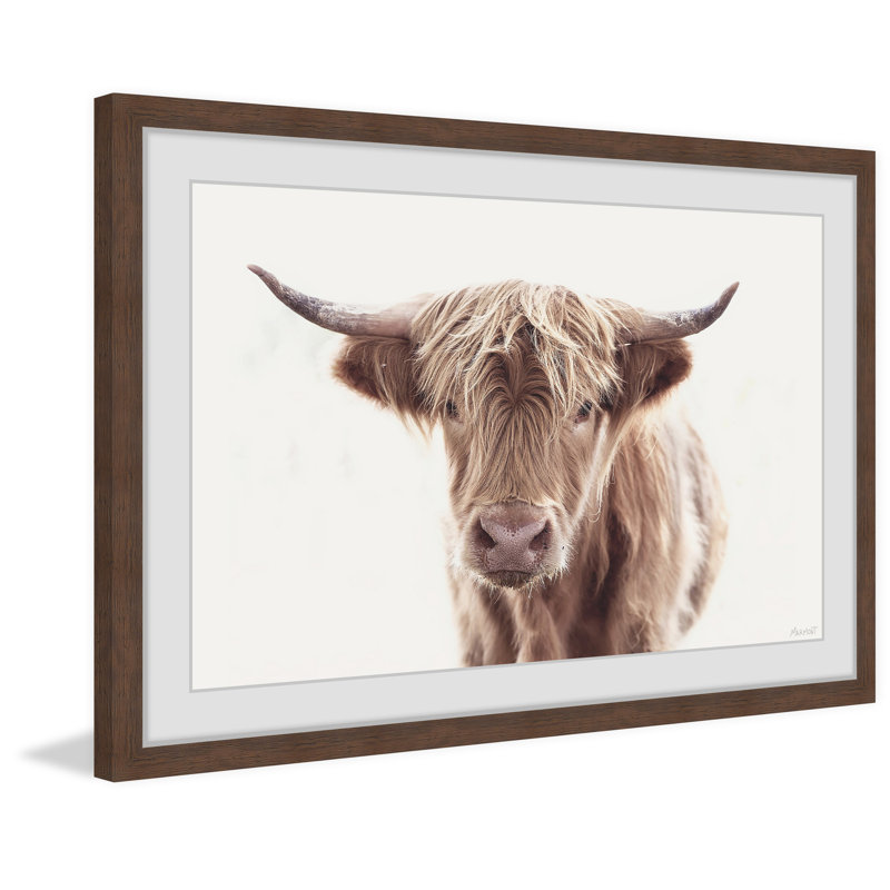 Hairy Face - Print, 61cm H x 61cm W x 3.81cm D, Brown Framed Paper