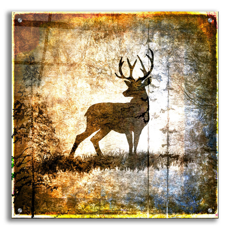 «High Country Deer» par Lightbox Journal, H 24 po x l 24 po x P 0,2 po