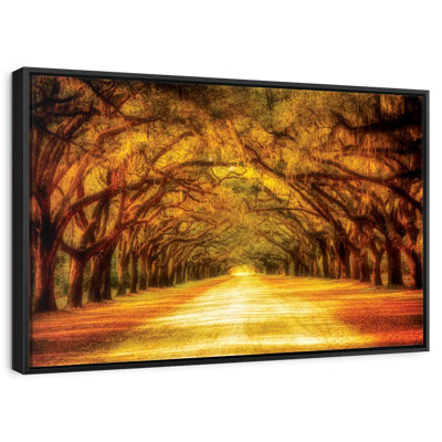 Oak Tree Road