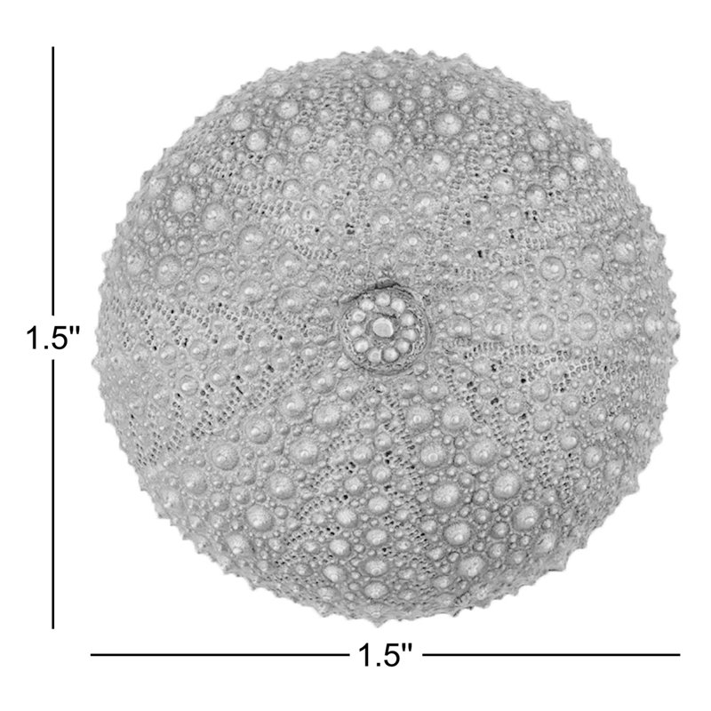 Sea Urchin Cabinet Knob, Antique Pewter