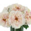 Faux Peony Arrangement in a Glass Vase-714086739