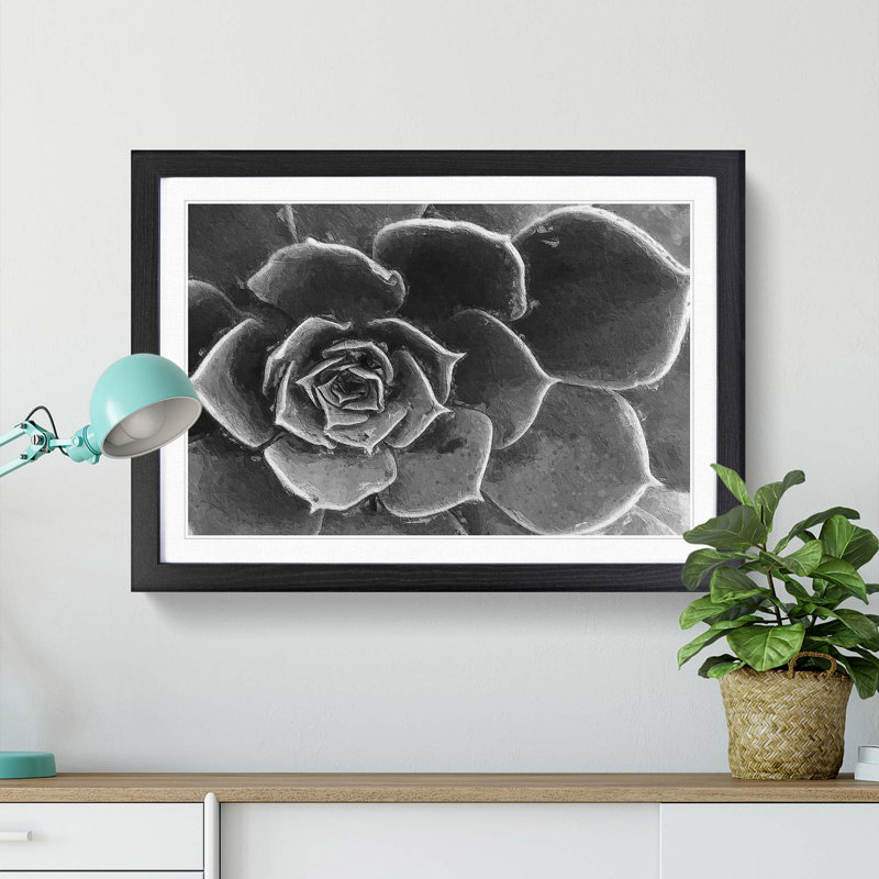 Succulent Plant - Picture Frame Painting Print, 36cm H x 48cm W x 2cm D, Black Framed