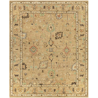 Biscayne Wool Oriental Area Rug