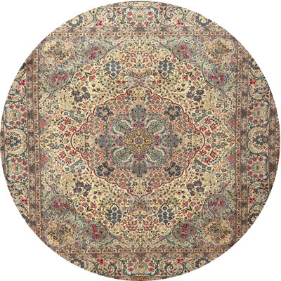 Oriental Indoor Rug