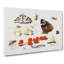 Butterfly Caterpillar and Moth by Jan Van Kessel - Wrapped Canvas-61848520