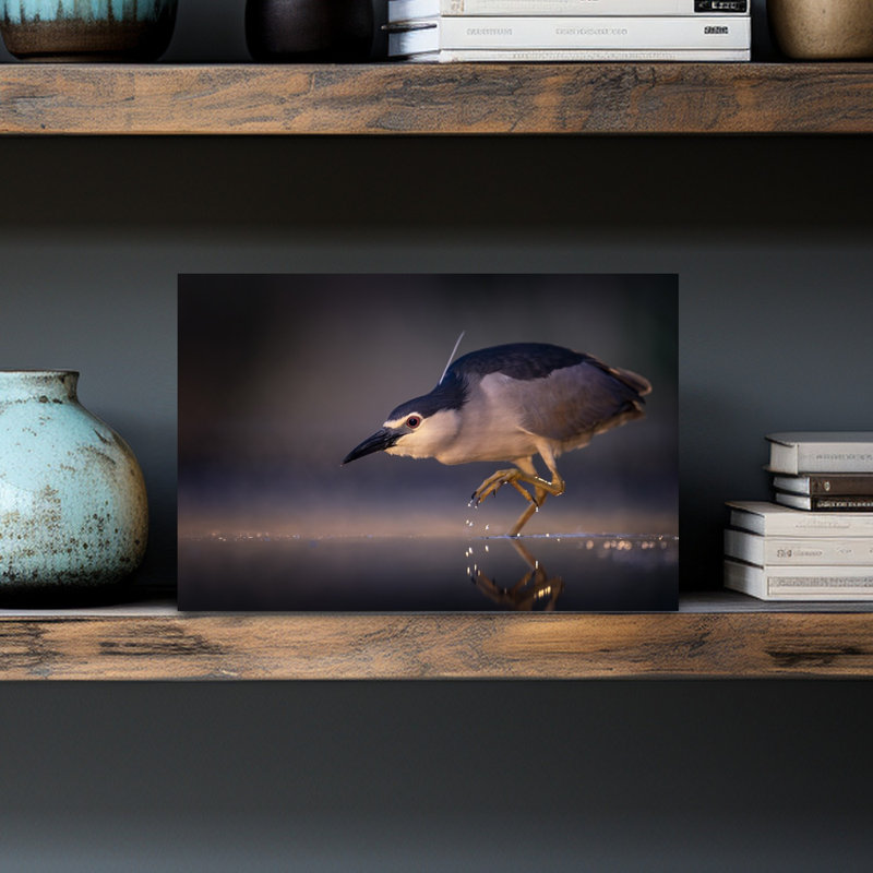 Wading Night Heron Elegant Peaceful Serene Bird Nature Wildlife Wall Art Print 1 Piece Wrapped Canvas Wall Art