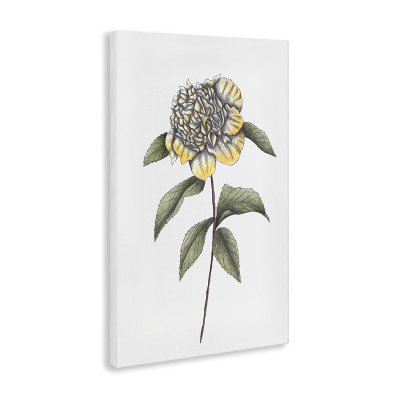 Camellia Flower Illustration Canvas, conception de Cecilia Battaini, H 24 po x l 16 po