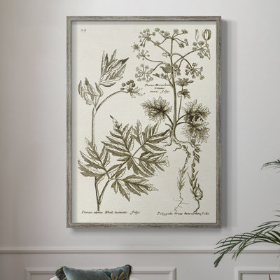 «Sepia Botanical Journal III», reproduction encadrée - bois massif