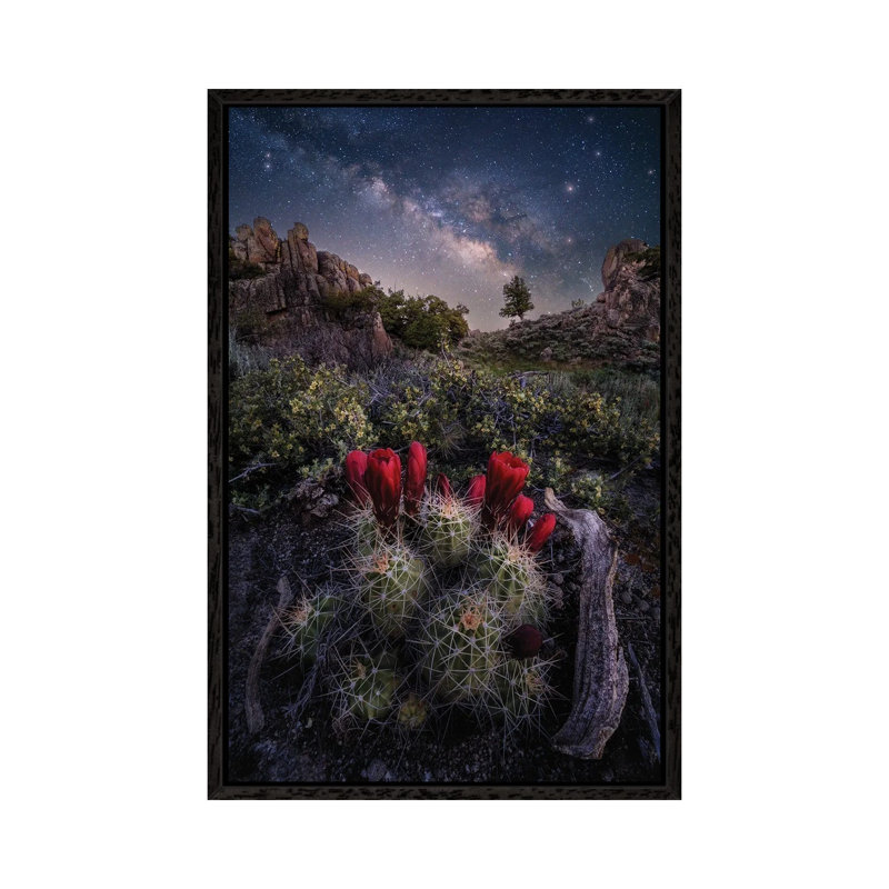 Colorado Nightscape - Claret Cup Cactus With Milky Way Galaxy Night Sky by Daniel Forster - Gallery-Wrapped Canvas Giclée on Canvas