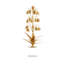 Lily of the Valley Sculpture