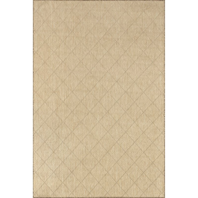 Ray Diamond Indoor/Outdoor Area Rug
